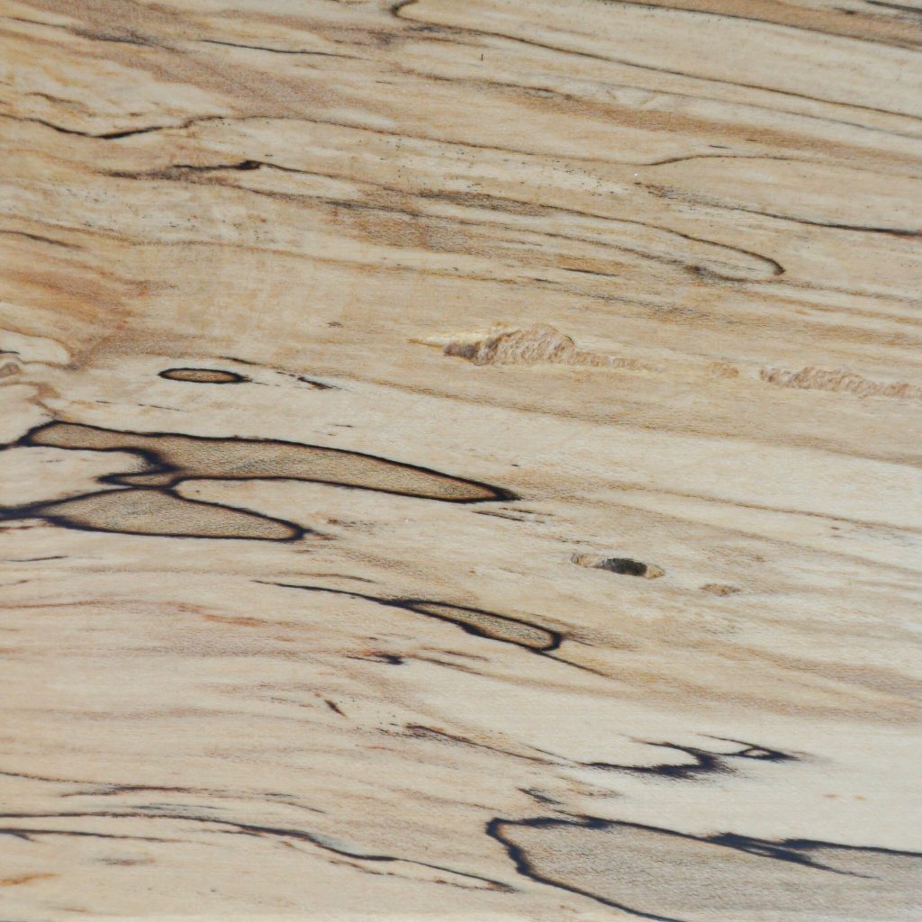 Spalted Maple close up